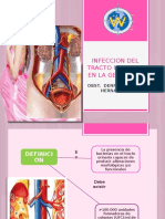 Infeccion Del Tracto Urinario Diapositivas Denisse