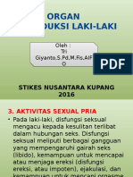 Aktivitas Sexual Pria