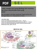 Suatu Ruangan Kecil Yang Dikelilingi Oleh Membran Dan Berisi Cairan/larutan Kimia Yang Pekat.