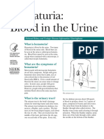 Hematuria Blood in the Urine 508