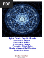 Download Spirit Attack  Psychic Attacks by Yuna Raven SN33577883 doc pdf