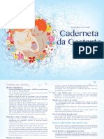 Cartilha Gestante PDF