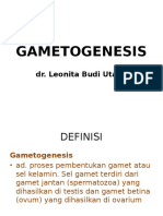 GAMETOGENESIS