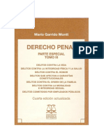 Garrido Montt, Mario - Derecho Penal Parte Especial Tomo III Ed 2010.pdf