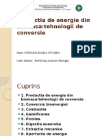 Productia de Energie Din Biomasa