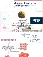 Lec 2.5 Dr. Ngadikun 2016 Porfirin