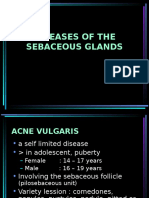 Sebaceous Glands