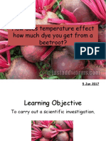 How Does Temperature Effect How Much Dye You Get From A Beetroot?