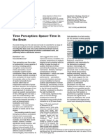 Time Perception - Space-Time in The Brain