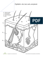 Inside Out Anatomy Integumentary PDF