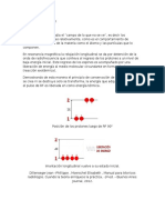 Relajación Longitudinal 19