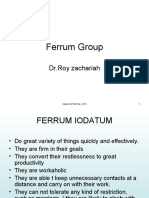 Ferrum Group