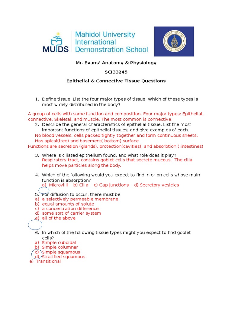 Define Tissue Anatomy