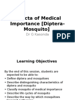 Insecta of Medical Importance (Diptera-Mosquito)