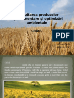 Depozitarea Produselor Agroalimentare Și Optimizări Ambientale