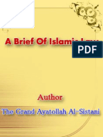 A Brief of Islamic Laws PDF