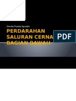 Perdarahan Saluran Cerna Bagian Bawah