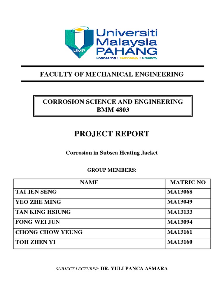 Corrosion Report.pdf | Membrane | Corrosion
