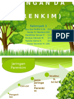 Jaringan Parenkim