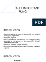 FUNGAL CLASSIFICATION.pptx
