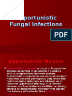 Fungal Classification