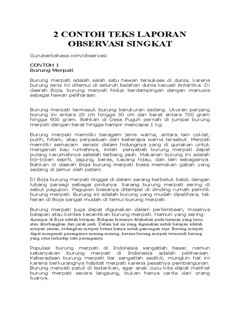 2 Contoh Teks Laporan Observasi Singkat Docx