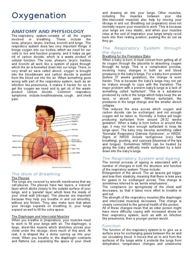 Oxygenation Part 1 Respiratory Tract Lung