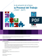 Guia_actuacion_NLPT.pdf