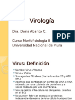 1. Introduccion Virologia Dra. Abanto