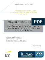 IAE LYON Bilel DJEMMALI PDF