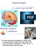 Neuropsicologia