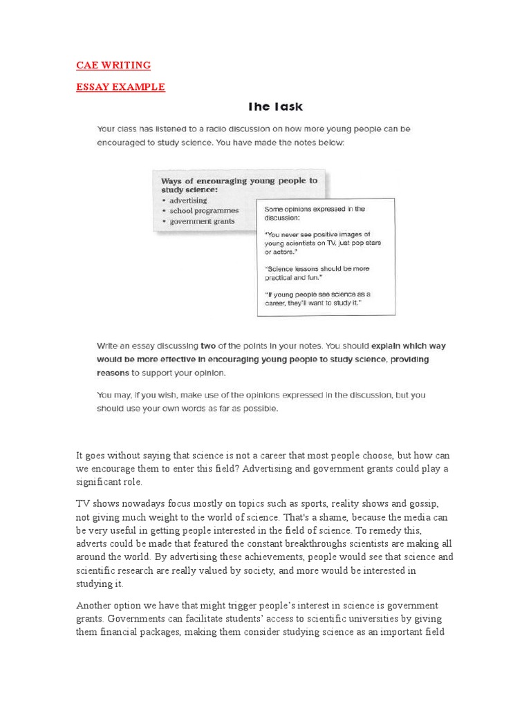 Cae essay examples pdf image