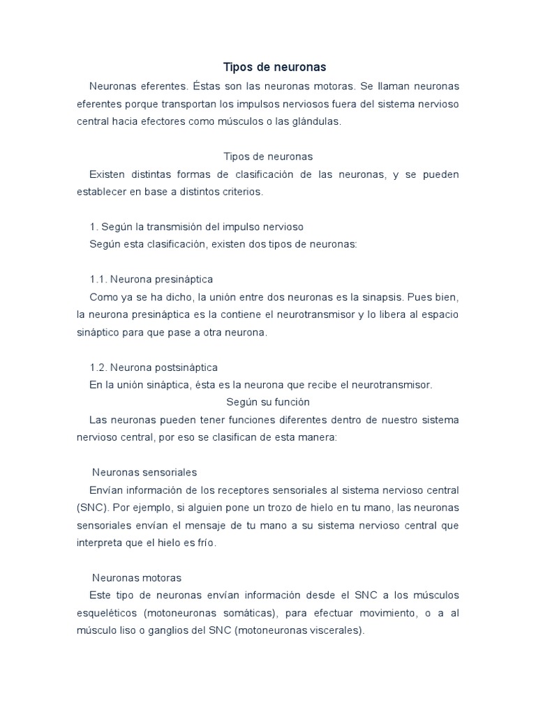 Clasificación Detallada de Neuronas | PDF | Sinapsis | Neurona