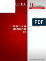 Informtica - Pm - Rafael Araujo
