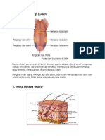 Tugas Biologi Sistem Indra