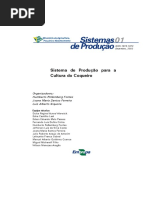 produção-coqueiro