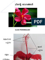 Parts of Flower-1