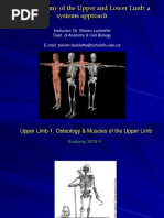 Gross Anatomy of The Upper and Lower Limb: A Systems Approach