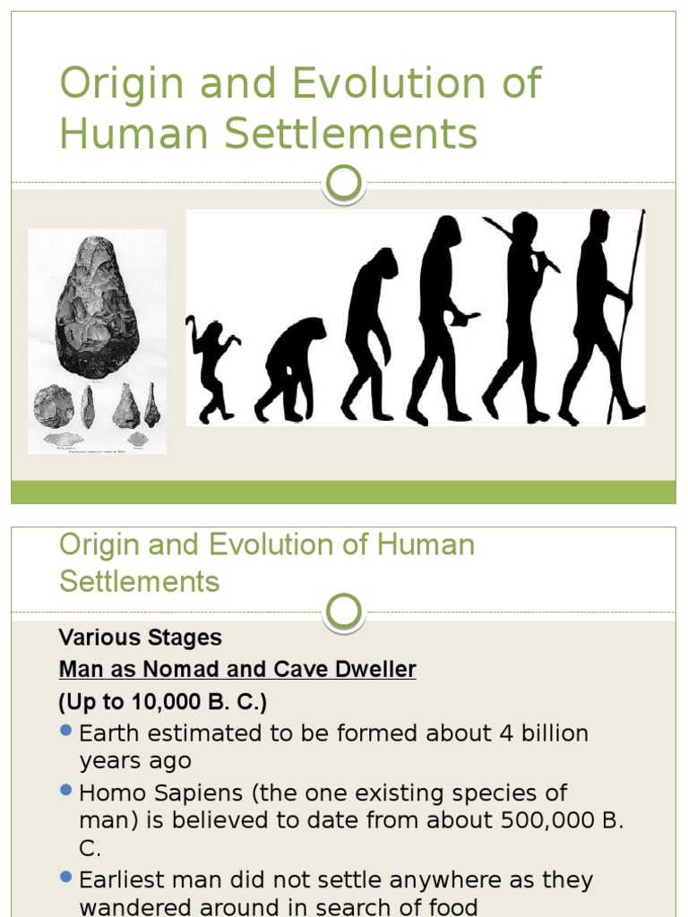 Essay on evolution of early humans picture