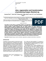 Protoplast formation, regeneration