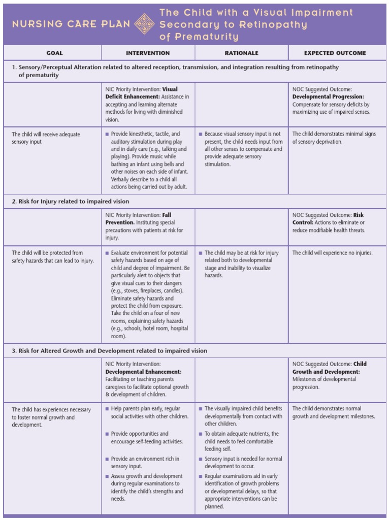 Nursing Care Plan The Child With A Visual Impairment Secondary To