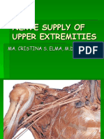 Upper Extremities Nerve Supply