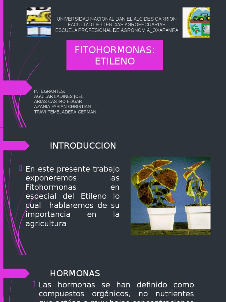 Etileno | PDF | Hormona Vegetal | Fisiología de las plantas