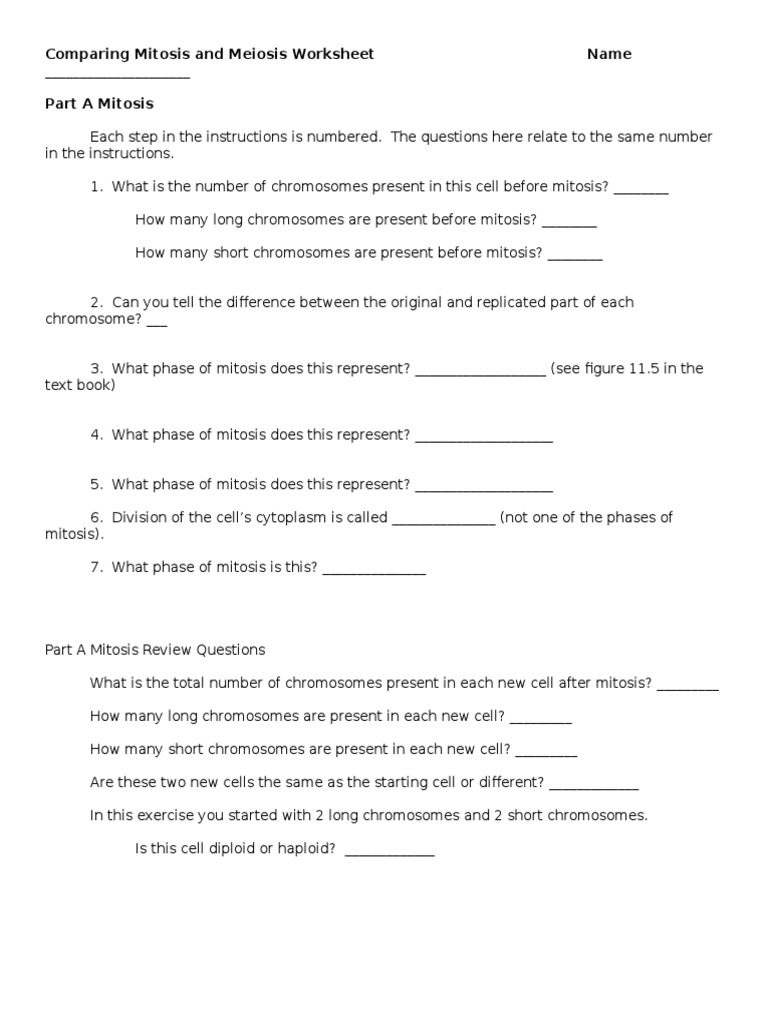 Mitosis and Meiosis Comparison Worksheet | PDF | Meiosis | Chromosome