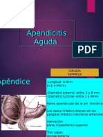 Apendicitis Aguda SERMESA