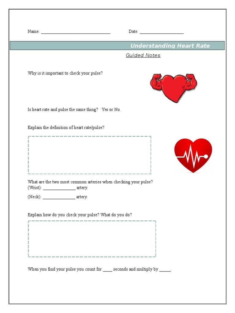 Understanding Heart Rate and Pulse | PDF