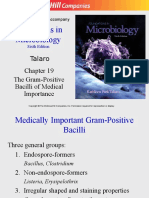 The G+ve Bacilli of Medical Importance