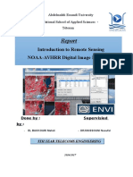 Rapport ENVI.docx