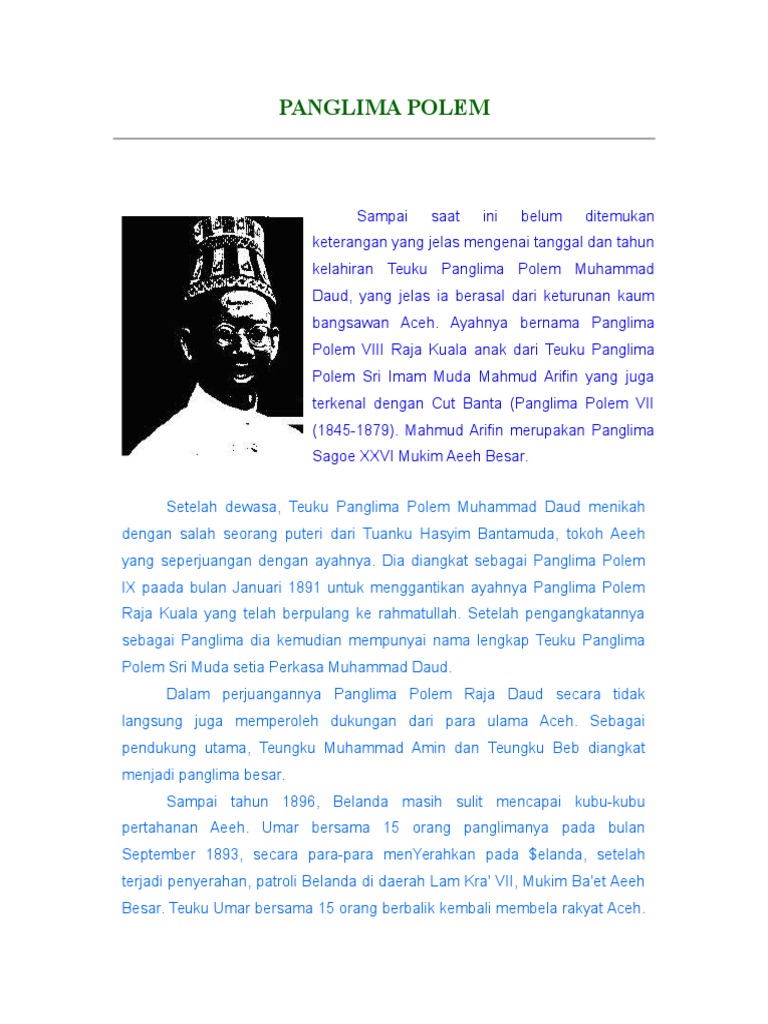 Biografi Teuku Panglima Polem | PDF