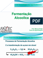 Aula 5- Fermentação alcoolica.pdf